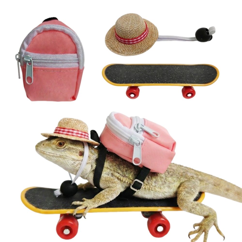Conjunto Criativo de Brinquedo - Model Kit Lizard avaliação e preço