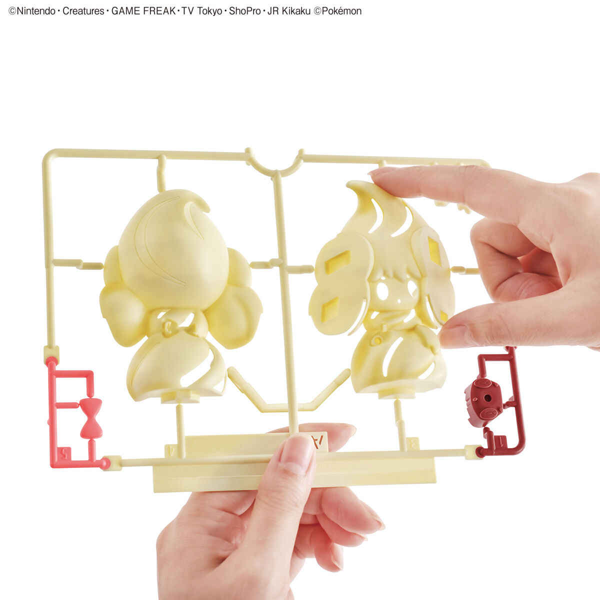 Genuíno bandai pokemon figuras - Model Kit Quick avaliação e preço