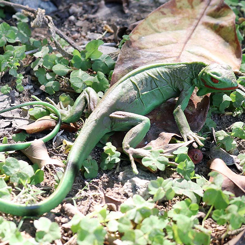 Oenux fazenda selvagem modelo  - Model Kit Lizard avaliação e preço